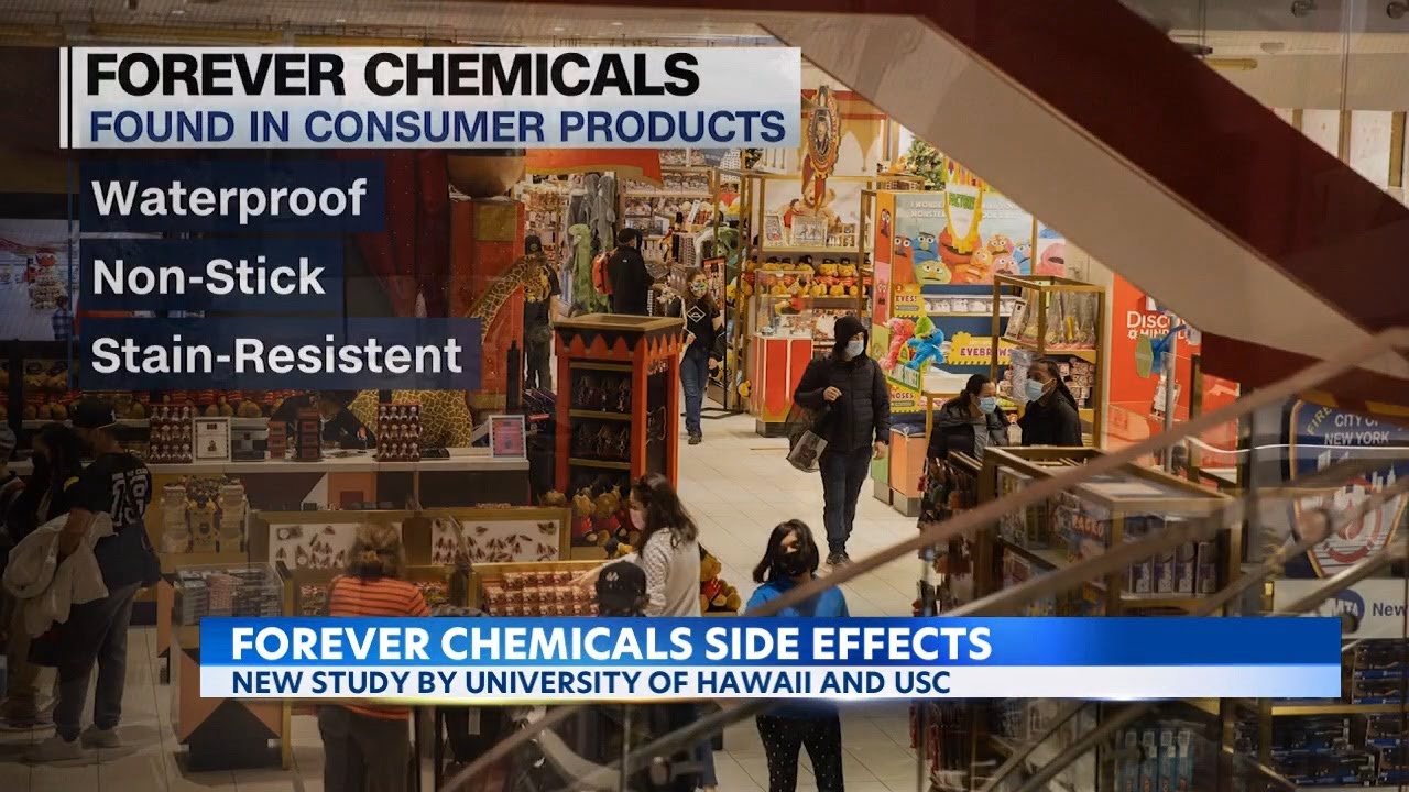 'Forever chemicals' triple liver disease risk for Hawaii adolescents