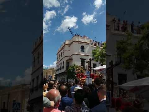 Real, Ilustre y Fervorosa Hermandad Sacramental de la Pura y Limpia Concepción de la Santísima Virgen María, Ánimas Benditas del Purgatorio y Cofradía de Nazarenos del Santísimo Cristo de la Salud, María Santísima del Refugio, Santa Cruz, Nuestra Señora del Patrocinio, Santa Bárbara y San Bernardo