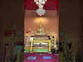 福猫現る!? タイのご祈祷中に起きた幸運のサイン✨#厄除け #木下レオン#黒猫 #幸運の証 #開運 #スピリチュアル #ラッキーサイン