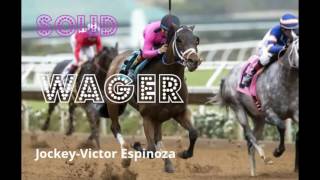 The Metropolitan Handicap 2017 (the field)