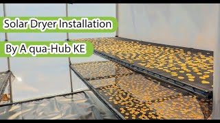 How to Dry Food for FREE Using the Sun! DIY Solar Dryer That Saves Money!