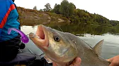 Serginio Fishing TV - рыболовный канал