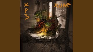 XP3