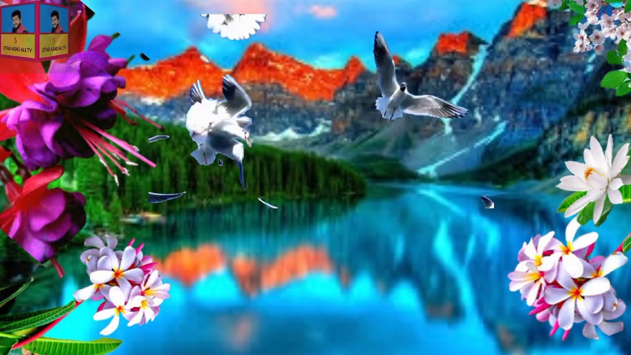 Template Video Background Full Screen | light Effect | Kinemaster Template Black Screen Status 32