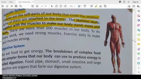 class 3 science chapter 8 our body part 2