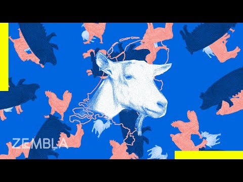 Video: Waar komt de geit vandaan?