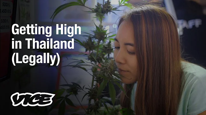 The Stoners Selling Legal Weed in Thailand - DayDayNews