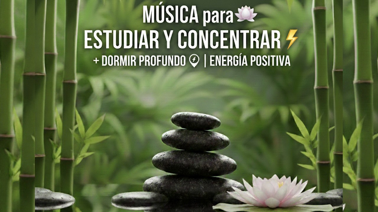 🌸Música Zen Para Estudiar y concentrarse, Zen Music Meditation, ZEN MUSIC STILLNESS FOR YOU.