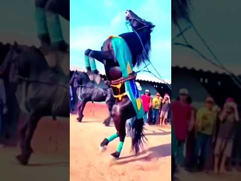 غايب ماجاني غناوي شتاوي ليبية مشاهير يوتيوبر اجمل حالات واتس اب بدو مصر ابوادي 