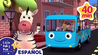 Cebra viaja en autobús |? Caricaturas de autobuses ?| Canciones infantiles | LBB Español