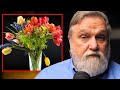 Classical Charter Schools as a Cut Flowers Display | Doug Wilson