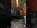 Lighting a flame before entering a cave #nature #cave #forest
