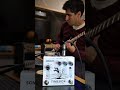 Reverb, yes or no? 🤔 #pedalguitarra #musicos #reverbpedal