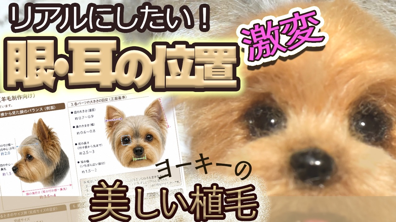 ヨーキーをリアルに作ろう｜図から見る目と耳の位置で出来栄えup