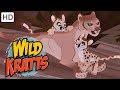 Wild Kratts 💐🐊 Mothers of the Wild | Kids Videos