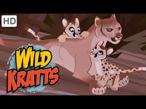 Wild Kratts 💐🐊 Mothers of the Wild 