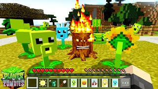 PlantS vs ZombieS PvZ MCPE Mod for Android - Download