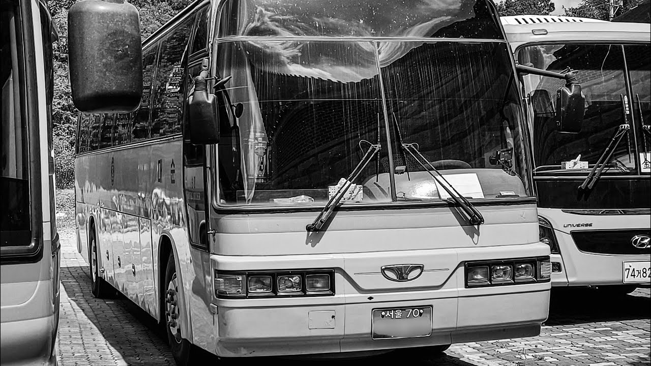 [버스사진모음집PV#5]🎵: Jump5- All I Can Do!