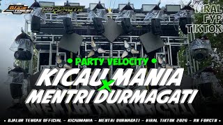 Download lagu DJ KICAU MANIA X Mentri durmagati - PARTY VELOCITY VIRAL TERBARU 2026 DJ@RNFDRCTNrmx 