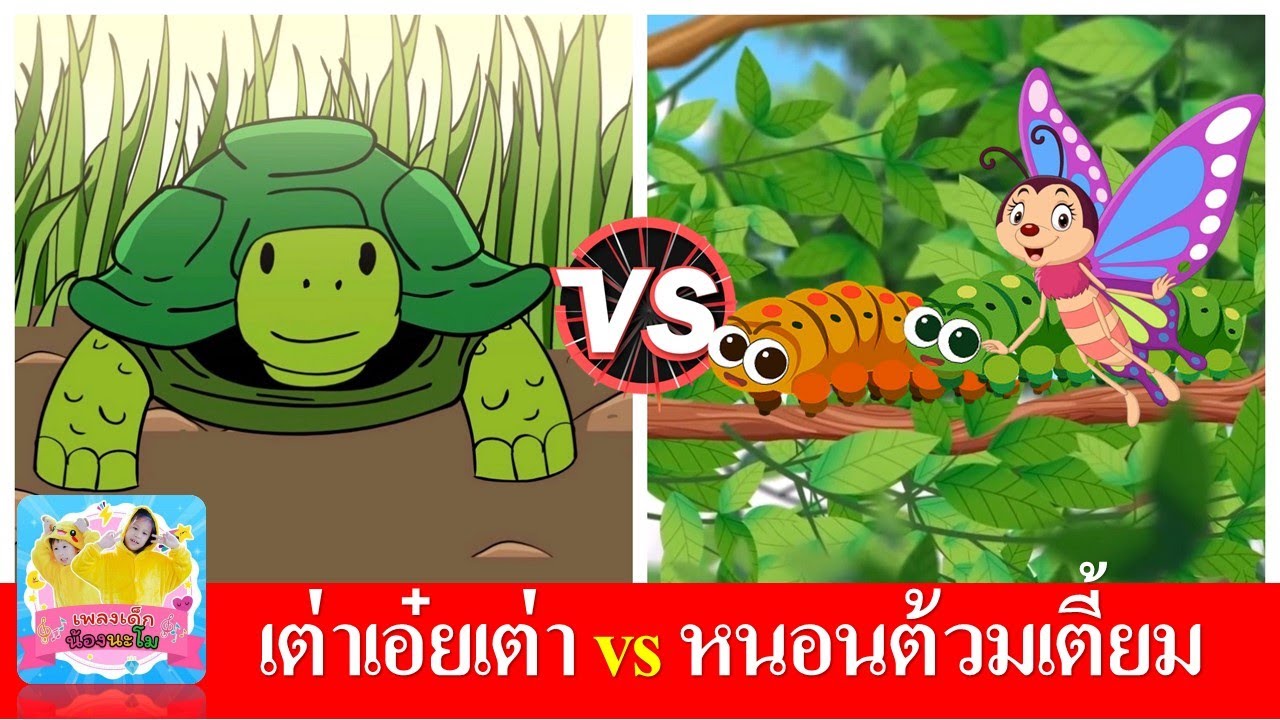 เต่าเอ๋ยเต่า vs หนอนต้วมเตี้ยม