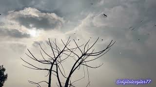 Peygamberimize (sav) ezgiler - Gizli Biçim