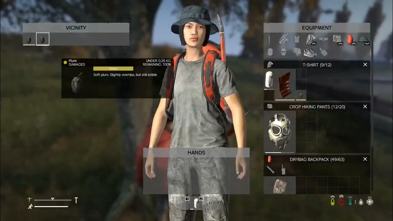 dayz how to get food from fruit trees YouTube