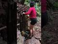 Build a shelter in the cave using rocks and natural materials.