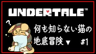 【#undertale 】完全初見で遊ぶ大人気ゲーム！いざUNDERTALEの世界へ❤【#vtuber 】#ケモノvtuber