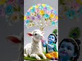 राधे राधे कृष्णा #viralvideo #shyam #babashyam #love #yashomatimaiyasebolenandlala #hindudeity