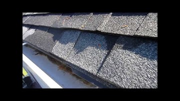 Roof gutter inspection with a digital camera