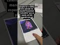 O melhor calendário do mundo #youtuber #video #loja #shorts