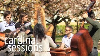 Video thumbnail of "The Barr Brothers - How The Heroine Dies - CARDINAL SESSIONS"
