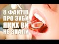 8 ФАКТІВ ПРО ЗУБИ, ЯКИХ ВИ НЕ ЗНАЛИ