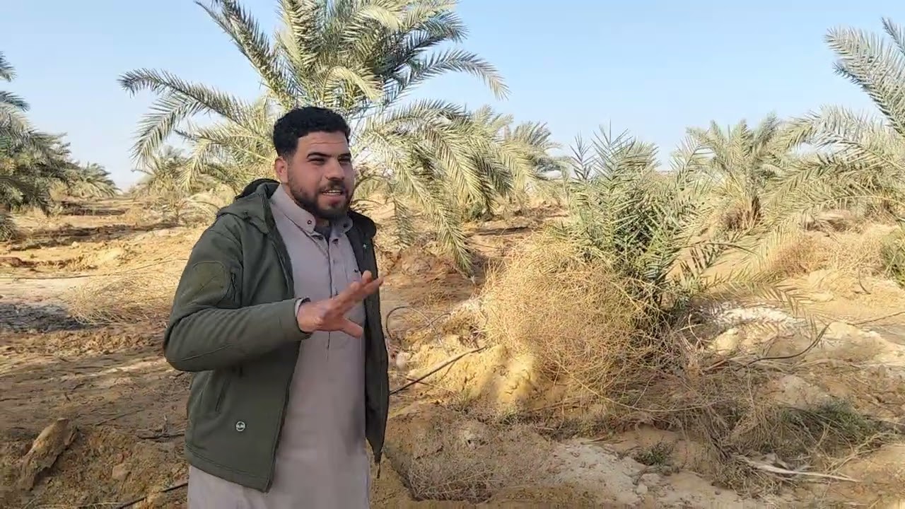 مزرعه للبيع مساحه 5 فدان بعقد نهائي للتواصل فون واتس 01210412980