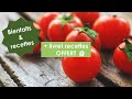  la tomate  bienfaits  recettes t