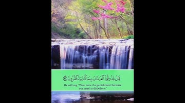 تلاوة باكية بصوت حكيم محمد مقلد عبدالرحمن مسعد