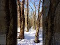 #Настоящая#зима#travel#winter#snow