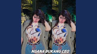 NGANA BUKANG CEO