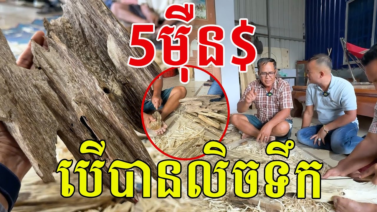 ១គីឡូ៥ម៉ឺន$ បើបានប្រភេទនេះ ជួប៥គីឡូមានល្មម