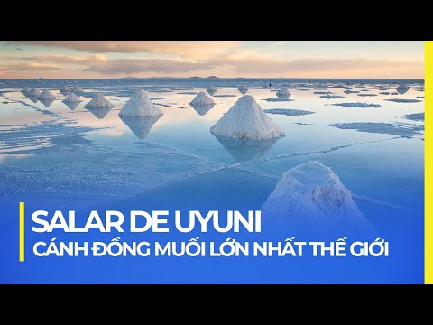 Video: Hồ Uyuni (đầm lầy muối), Bolivia