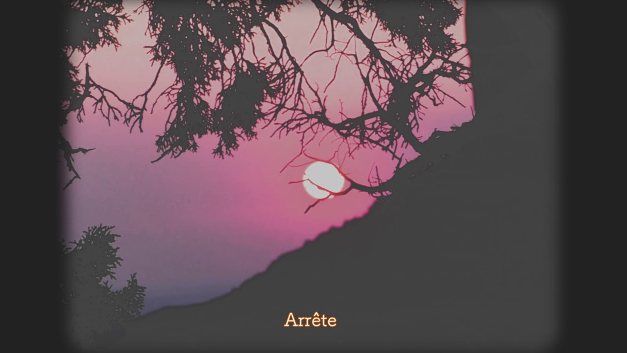 Nedelko - La baie des chiens ( prod : Oster Lapwass )