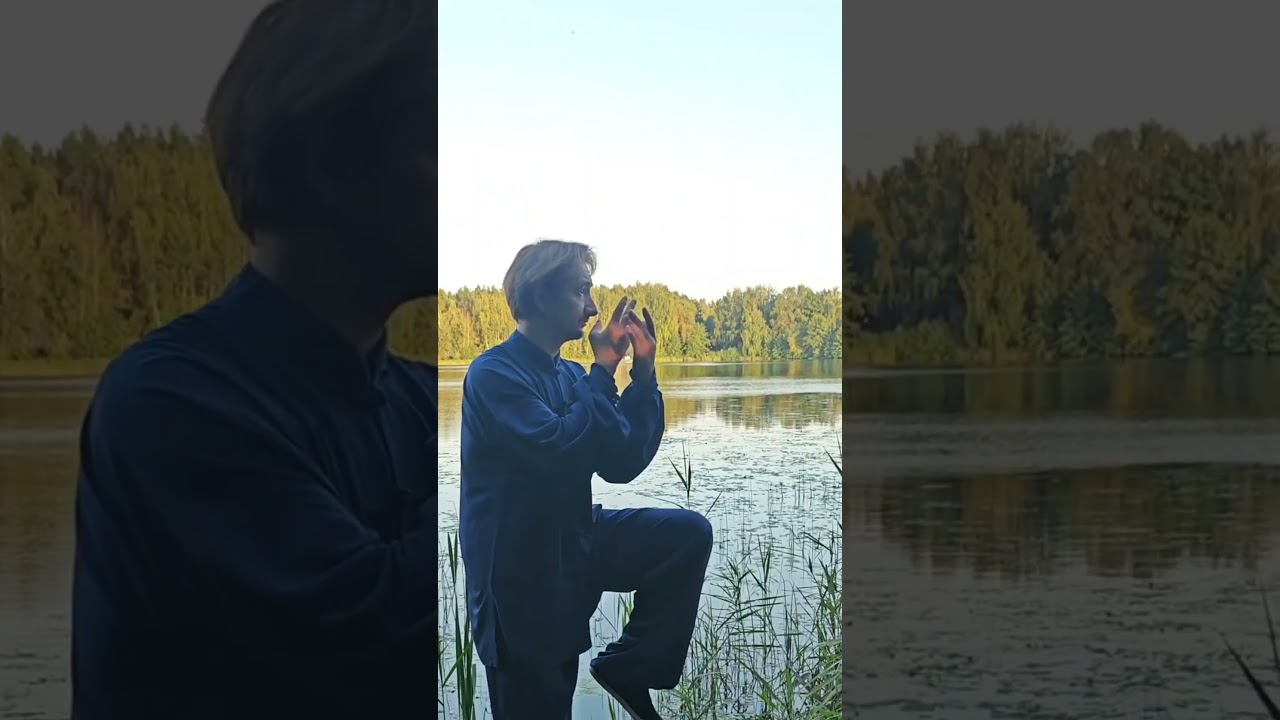 Тайцзи-цюань - Виктор Шигорин - клуб Dвижение 