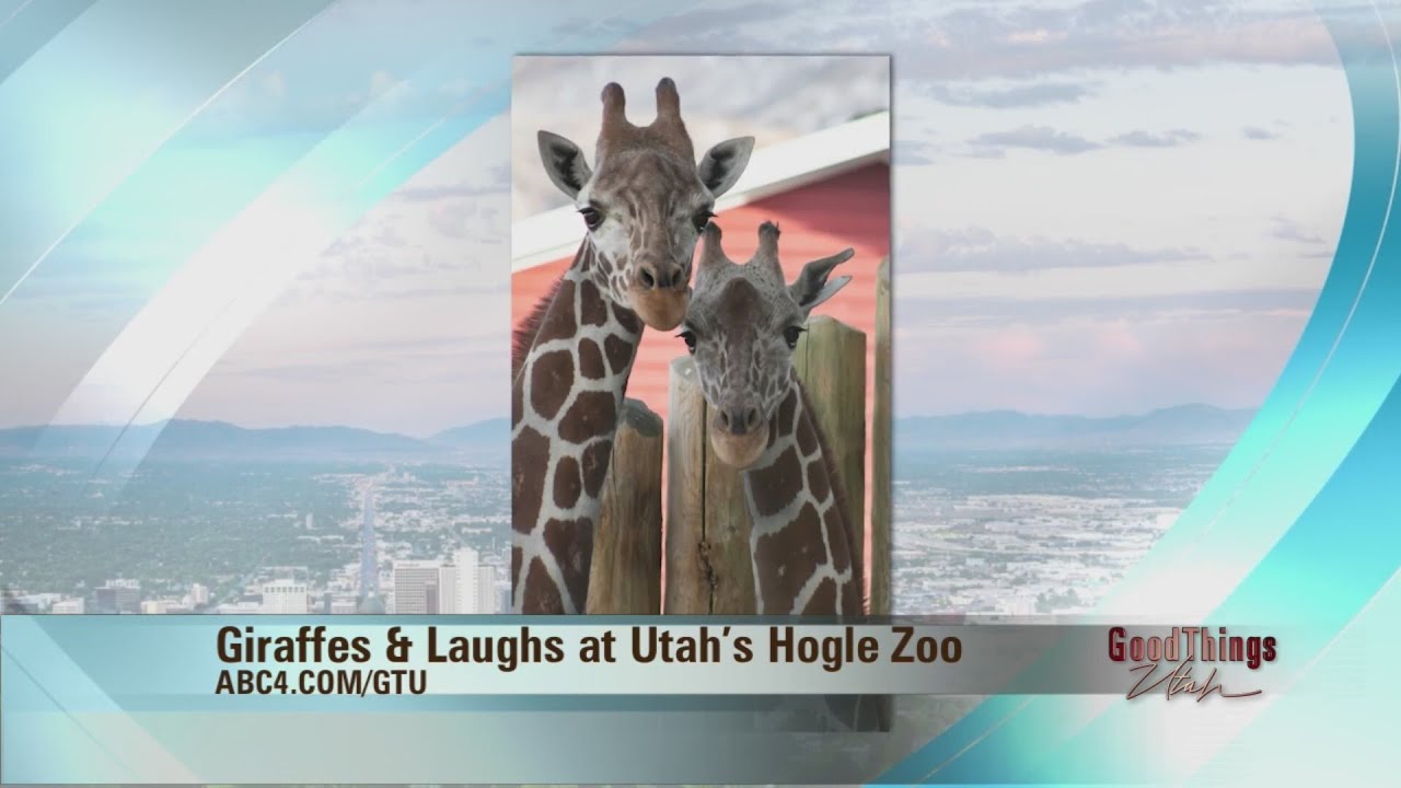 Hogle Zoo Wild Utah