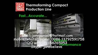 Fully Automatic Paper Plate Making Machine / Pulp Molding Equipment for Tableware