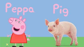 Peppa Pig Characters | Peppa Pig Characters in Real life | Learn Animals With Peppa And George |