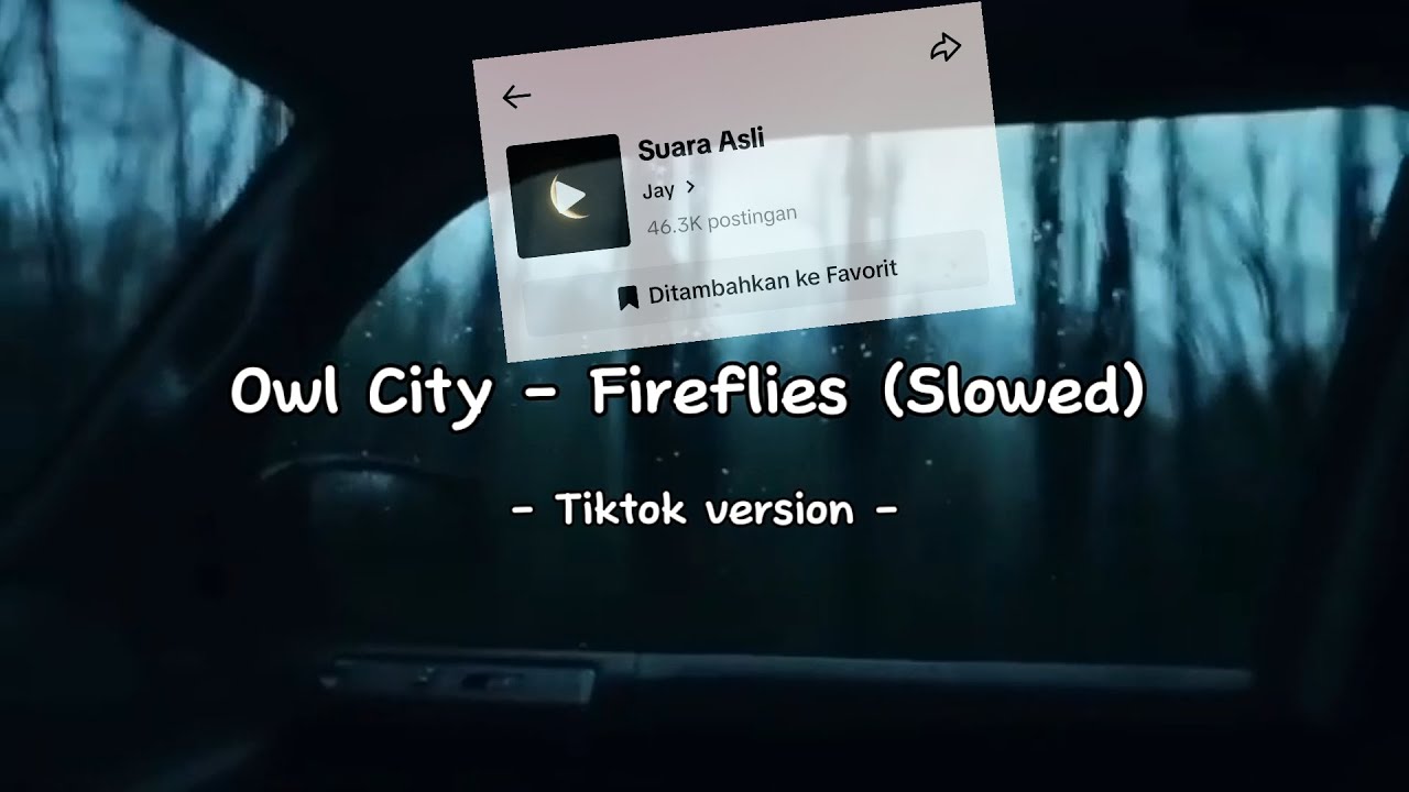 Owl City - Fireflies (Slowed) Tiktok Version 💫