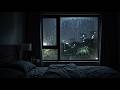 Rain Sleep Forest Rain & Night Nature Sounds