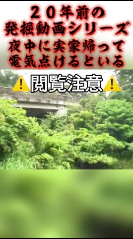 【発掘動画】夜中に実家帰って電気点けると大抵いるやつ【20年前】