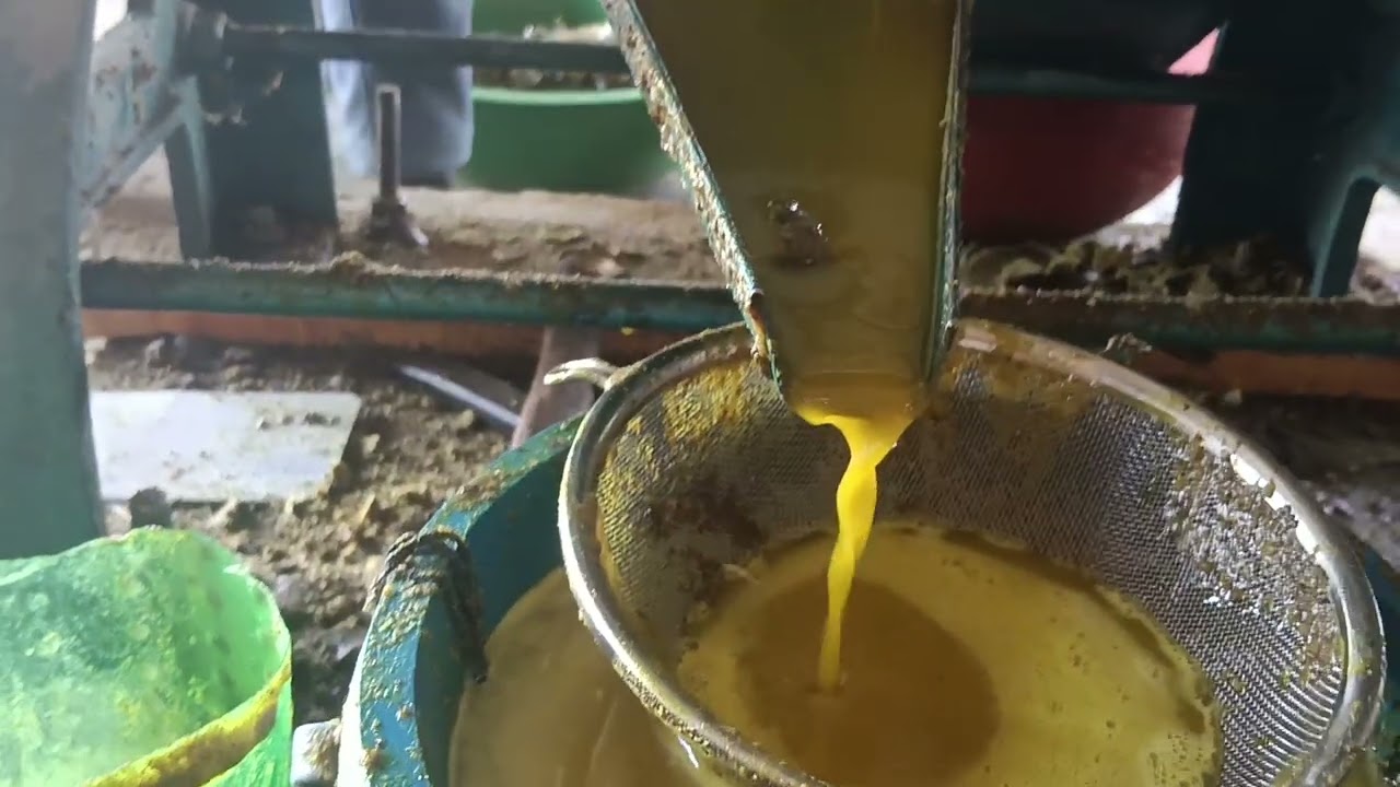 sona 24 Patti expeller 45 kg ghante ka perai