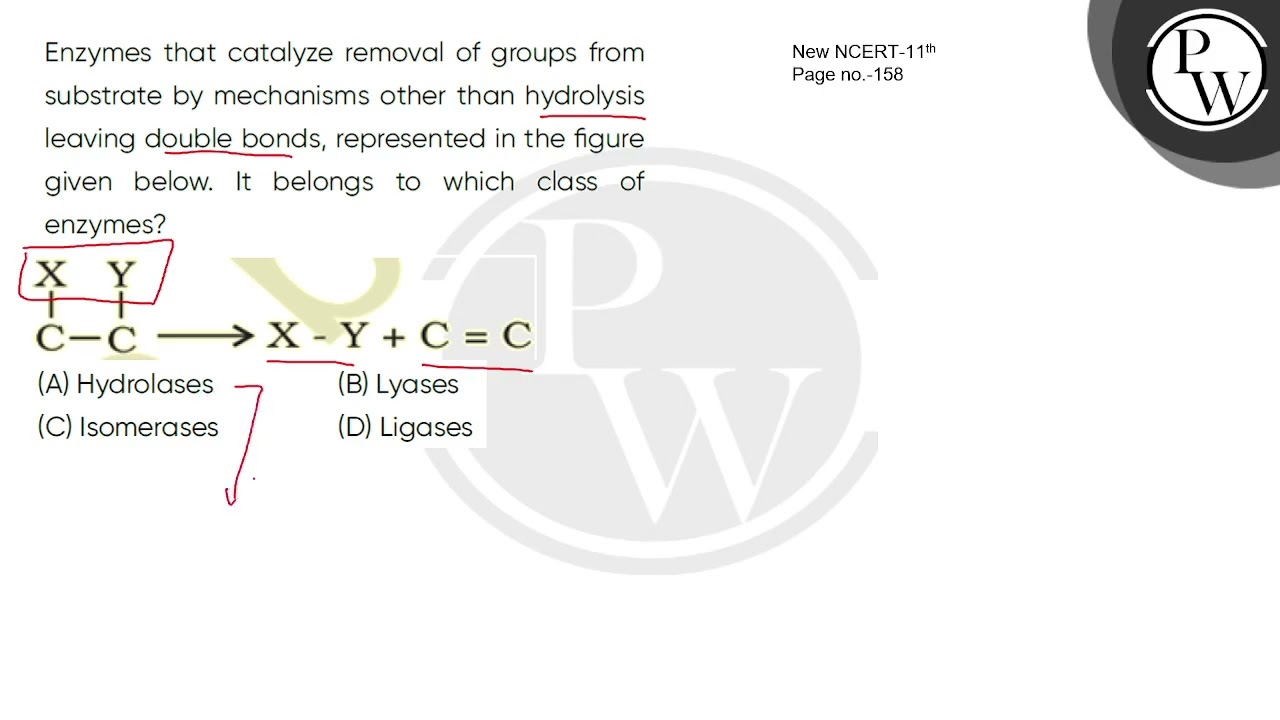 Enzymes that catalyze removal of groups from substrate by mechanisms other than hydrolysis leavi....